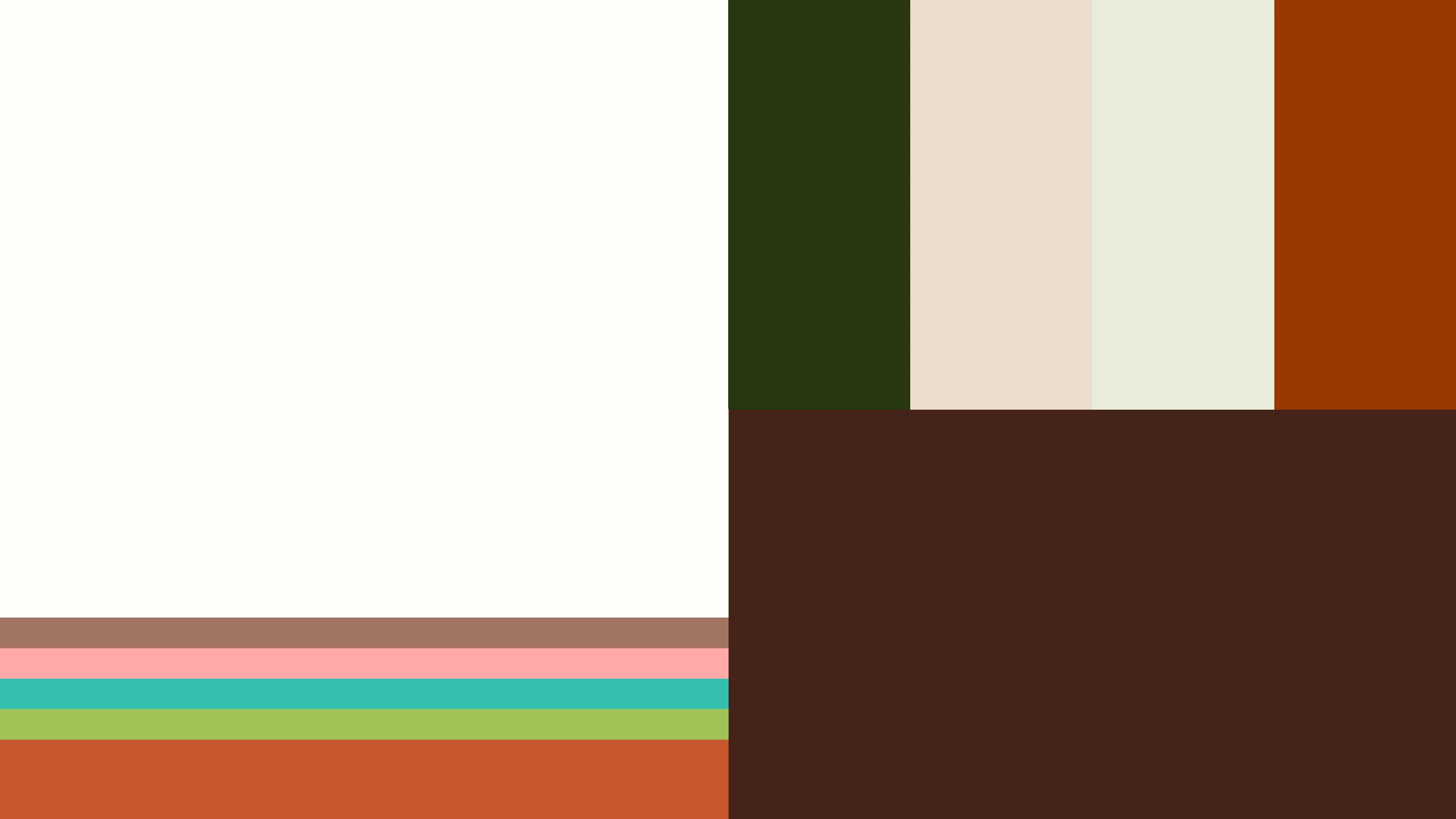 The colour palette for the Elija's Nature rebrand, featuring earthy tones of dark green, brown, cream, and rust, with accent stripes of pink and turquoise.